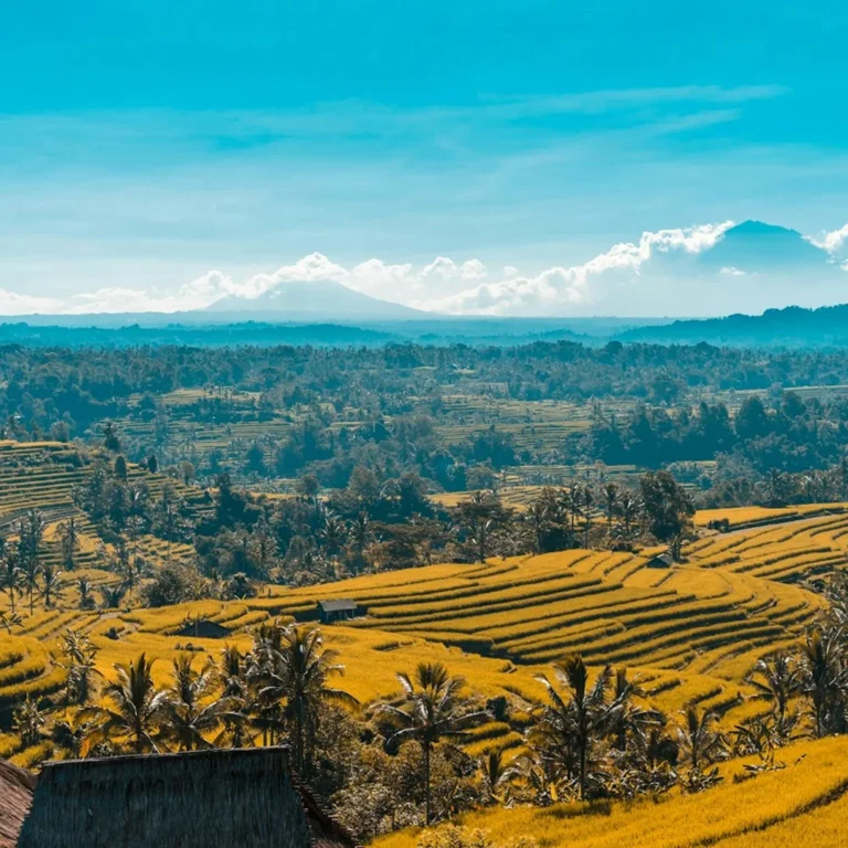 Bali Travel Guide for First-Time Visitors