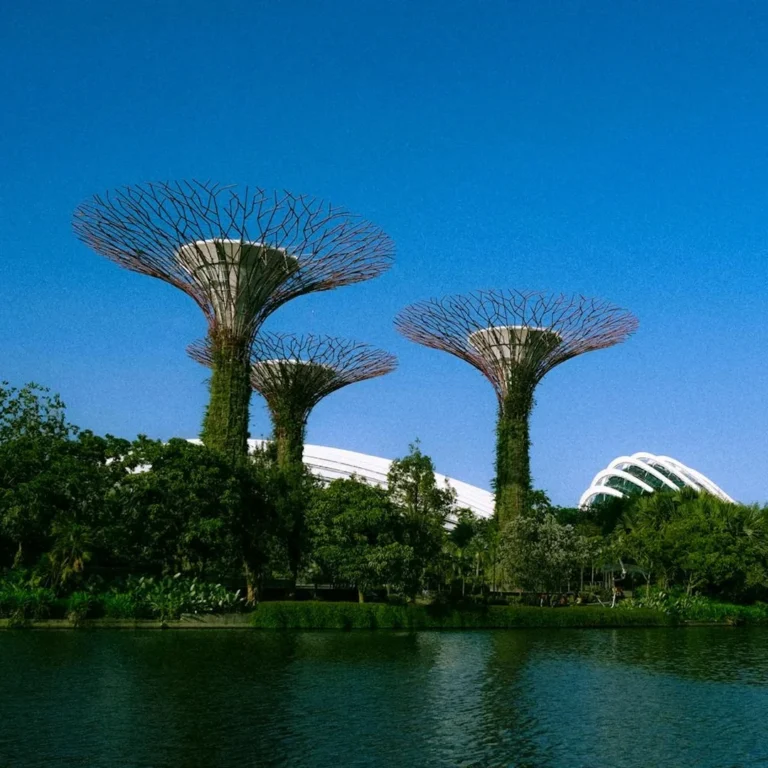 Singapore Travel Guide for First-Time Visitors: Attractions, Food, Budget and Travel Tips