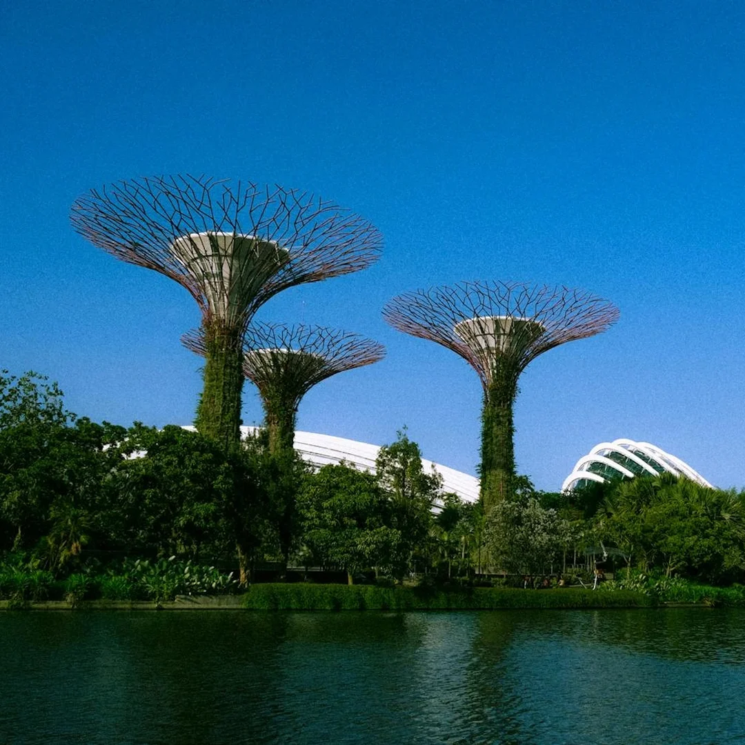 Singapore Travel Guide for First-Time Visitors: Attractions, Food, Budget and Travel Tips