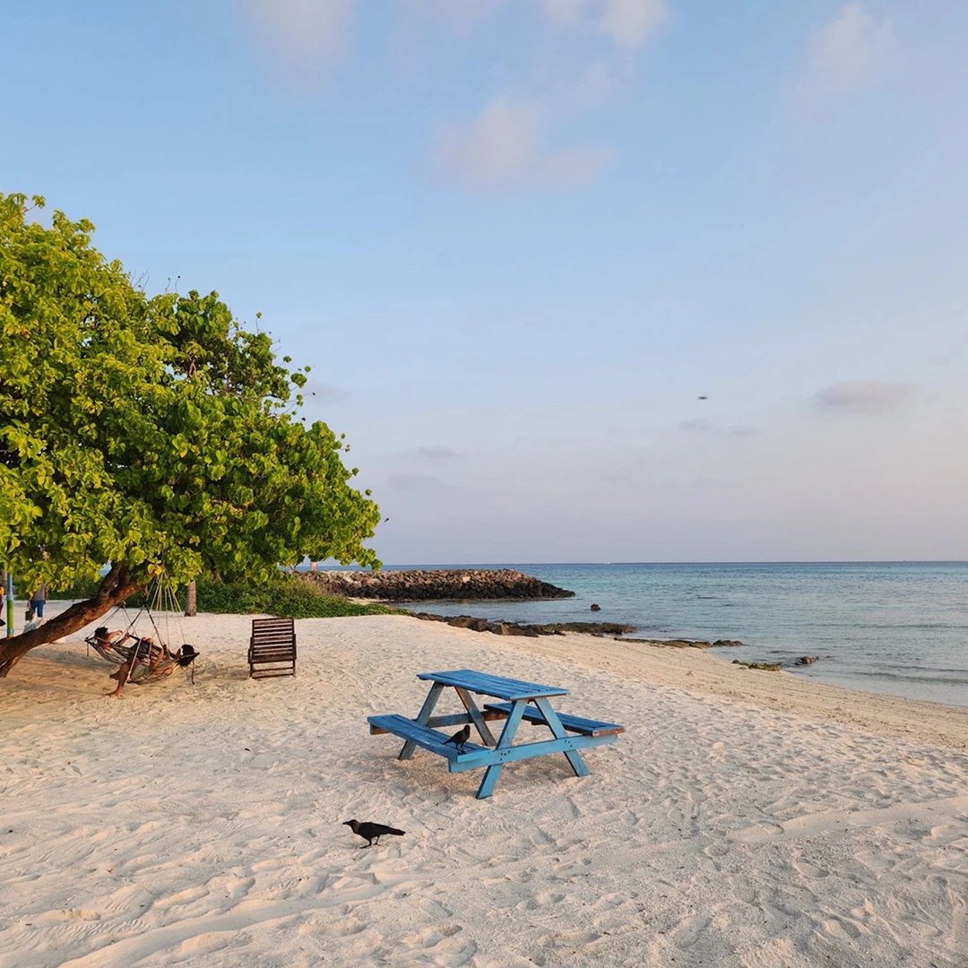 Maldives Travel Guide for First-Time Visitors: Local Islands, Resorts, Budget and Travel Tips